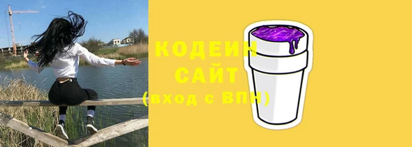 мет Няндома