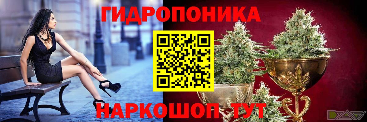Бошки Шишки индика Кстово